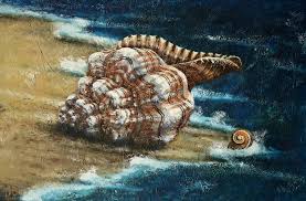 The frame pictured is just for illustration purposes. Sea Shell Painting Acrylic Art Collectibles Shantived Com