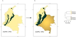 Image result for Synsepalum passargei