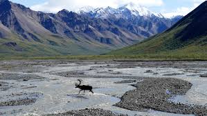 Especially when your destination is a vast wilderness in the alaskan interior. Travel Crush Denali National Park Alaska Here Magazine Away