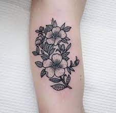 Pin On Flowers