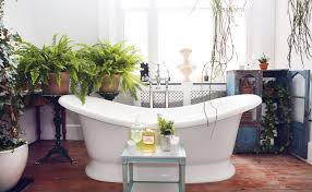 .plant, bedroom plant, home office plant, and kitchen plant, aloe vera is also a perfect bathroom plant gardenias are tropical plants, so they make great bathroom plants. Houseplants That Thrive In Your Bathroom The Joy Of Plants