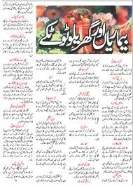 Zubaida Appa K Totkay Google Search Health Knowledge Health And Beauty Tips Home Health Remedies