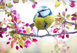 Best exercises for a great cardio workout at home. Creative Darling Bird Bath Projects For The Yard