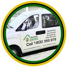 After that it is time to discover an need of pest control sydney solution is rapidly accumulating as well as in order to satisfy this. Best Pest Control Service In Sydney Residential And Commercial Areas