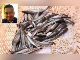 Awalnya kita sangkakan cikgu pjk dan guru kaunseling sekolah tu saja yang pandang enteng tentang rogol. Edry Faizal Eddy Yusof Sinar Harian