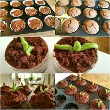 Schokoladen Pflanzen Muffins Glutenfrei Rezept Lebensmittel Essen Rezepte Glutenfreie Rezepte