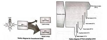 What Is Energy Flow Diagram State Its Significance From