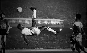 A pele (cútis ou tez), em anatomia, é o órgão integrante do sistema tegumentar (junto ao cabelo e pelos, unhas, glândulas sudoríparas e sebáceas), que tem por principais funções a proteção dos tecidos subjacentes, regulação da temperatura somática e ainda conter terminações nervosas sensitivas. Pele Foundation Home