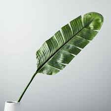 Our stomachs don't break them down so they go on you should remove the bay leaves when cooking, as they are inedible. Faux Banana Plant Leaf
