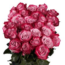 Maybe you would like to learn more about one of these? Premium Deep Purple Roses Globalrose