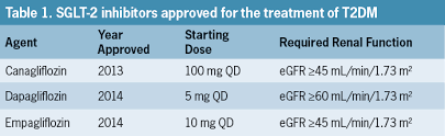 Sglt 2 Inhibitors For Type 2 Diabetes Renal And Urinary