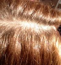 Ich habe von natur aus mittelblonde ich weiß nicht ob das stimmt aber ich bin der meinung das wenn man blonde haare braun färben. Braunton Ohne Rotstich Gesucht