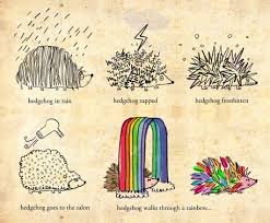 Image result for hedgehogs drawings