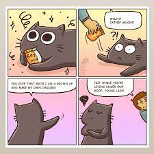 101 Comics That Purrfectly Capture Life With Cats Cat Comics Cats Crazy Cats