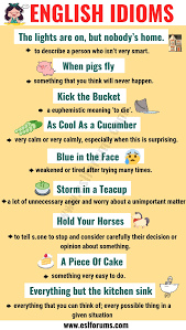 Top 20 Funny Idioms In English You Might Not Know Esl Forums English Idioms English Collocations Learn English Vocabulary