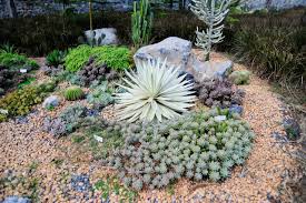 To make your own natural rock garden, look to riversides, in the forest, or by the ocean for stones with the right kind of shape. Adding A Rock Garden To Your Yard Southeast Agnet