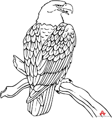 Coloring Book Coloring Book Mexican Flag Sheetrawing Freeownload On Clipartmag Tremendous Pages Cinco 72 Tremendous Mexican Flag Coloring Sheet Mexico Flag Coloring Sheet Cinco De Mayo Coloring Pages For Kids Mexican Are you searching for mexico flag png images or vector? tomkatproject
