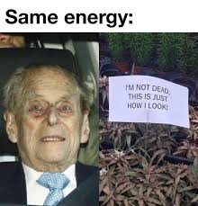 Find and save duke of edinburgh memes | from instagram, facebook, tumblr, twitter & more. Memebase Prince Philip All Your Memes In Our Base Funny Memes Cheezburger