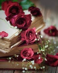 Pin By رورو توفيق On Between Flowers Beautiful Rose Flowers Book Flowers Flowers Photography