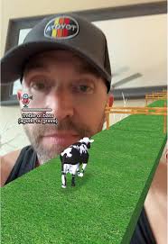 Moory Christmas! #BecauseCow