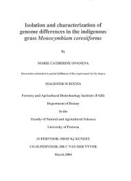 Image result for Monocymbium