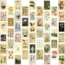 Enter maximum price shipping free shipping. Buy 50 Mini Botanical Cottagecore Collage Art Posters 4 X 6 Vintage Aesthetic Wall Collage Kit For Trendy Photo Wall College Dorm Room Decor Cottagecore Decor Teen Room Boho Decor Bedroom