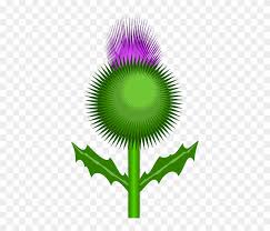We did not find results for: Flower Thorns Bonny Weed Plant Bloom Scotland Flower Clip Art Free Transparent Png Clipart Images Download