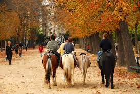 The gardens also have sports courts, including basketball and baseball, but travelers say the you'll find luxembourg gardens in the 6th arrondissement (neighborhood), just a short walk from both the. Luxembourg Gardens Paris Jardin Du Luxembourg Paris Attractions