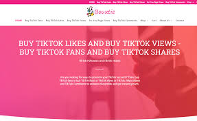13 Best Sites To Buy Tiktok Comments 2021 Earthweb