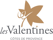 Vin très fruité aux tanins souples et harmonieux, le goûter c'est l'adopter. Chateau Les Valentines Family Winery In Provence Organic Wines