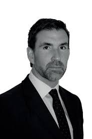 The Alternative Investor