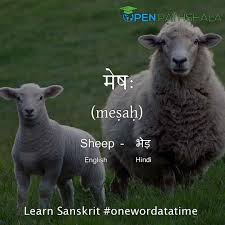 Full detail list of animals name in hindi and english. Different Names Of Animals Learn Sanskrit Open Pathshala