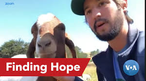 Weirdest Online Jobs