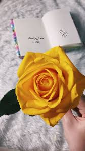 pin by ن ج م ه on writings rose flower wallpaper words wallpaper beautiful arabic words