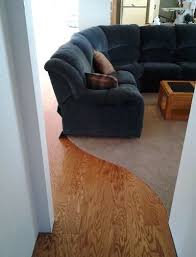 I Like The Idea Of Wood Or Laminate Wood Flooring For The Walkway And Carpet For The Living Room Area Living Room Carpet Living Room Flooring House Flooring