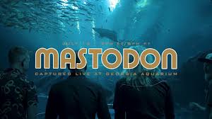 Explore a world under the sea with our newest gallery, sharks! Mastodon To Livestream Acoustic Show From Georgia Aquarium