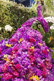 Garden Peacock Topiary Garden Flowers Plants