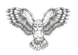 Burung elang, merak, merpati, kakak tua, beo, garuda, perkutut, nuri, atau burung apa nih? Paling Keren 25 Tato Simple Burung Hantu Contoh Gambar Tato