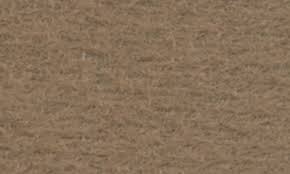 Image result for Medium Beige 1980 Buick