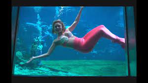 Mermaids were not allowed to go up to the surface to see the world of human beings until they were fifteen years old, and each sister on the prince's ship started to lurch and roll in the churning sea.and the little mermaid could hear terror in the voices of the sailors. Weeki Wachee Mermaids Share Secrets To Working Underwater Wildtravelstv Com Youtube