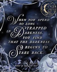 953 Gostos 3 Comentarios Tog Acotar Crescent City Feysand Acotar No Instagram This Is One Of My Favori Book Quotes Favorite Book Quotes City Quotes