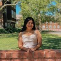 Amy Flores - Program Manager | LinkedIn