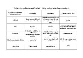 Tell whether esch structure is common to all prokaryotes. Prokaryotes And Eukaryotes Worksheet Teachers Pay Teachers