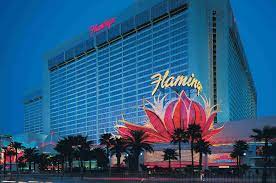 Flamingo Hotel Las Vegas Las Vegas Hotels Flamingo Hotel Las Vegas Casino Hotel