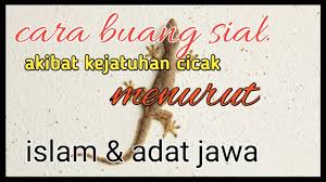 Check spelling or type a new query. Cara Buang Sial Akibat Kejatuhan Cicak Menurut Islam Dan Adat Jawa Youtube