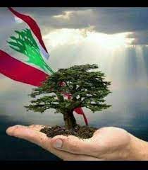 بتعتبر مركز ثقافى مهم فى منطقة الشرق الاوسط. M Nabil Audi Sur Twitter Ø¨ÙŠØ±ÙˆØª Ù¢Ù  Ù¥ Ù¢Ù Ù¡Ù§ Ø¹Ù„Ù… Ù„Ø¨Ù†Ø§Ù† ÙŠØ±ÙØ±Ù Ø¯ÙˆÙ…Ø§ Ø´Ø§Ù…Ø®Ø§ ÙƒØ£Ø±Ø²Ù‡ Ø¨Ø£ÙŠØ§Ø¯ÙŠ Ø´Ø¹Ø¨Ù‡ Ø§Ù„Ø³ÙŠØ¯ Ø§Ù„Ø­Ø± Ø§Ù„Ù…Ø³ØªÙ‚Ù„ Ø¯ Ù… Ù†Ø¨ÙŠÙ„ Ø¹ÙˆØ¯Ø©
