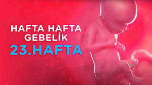 Çünkü her insanın bünyesi farklıdır. 23 Hafta Hamilelik Ilk Adimlarim