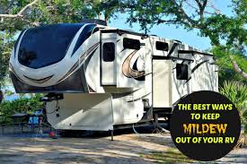 Mould, otherwise referred to as mildew or 'black mold, can become a nuisance. The Best Ways To Keep Mildew Out Of Your Rv Axleaddict