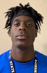 WIAA Track & Field: Park's Johnson wins Division 1 state high jump  championship