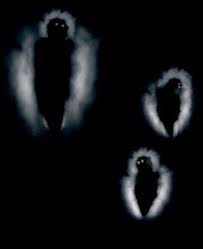 Guide For Dark Souls Iii - Post Game To Ng+